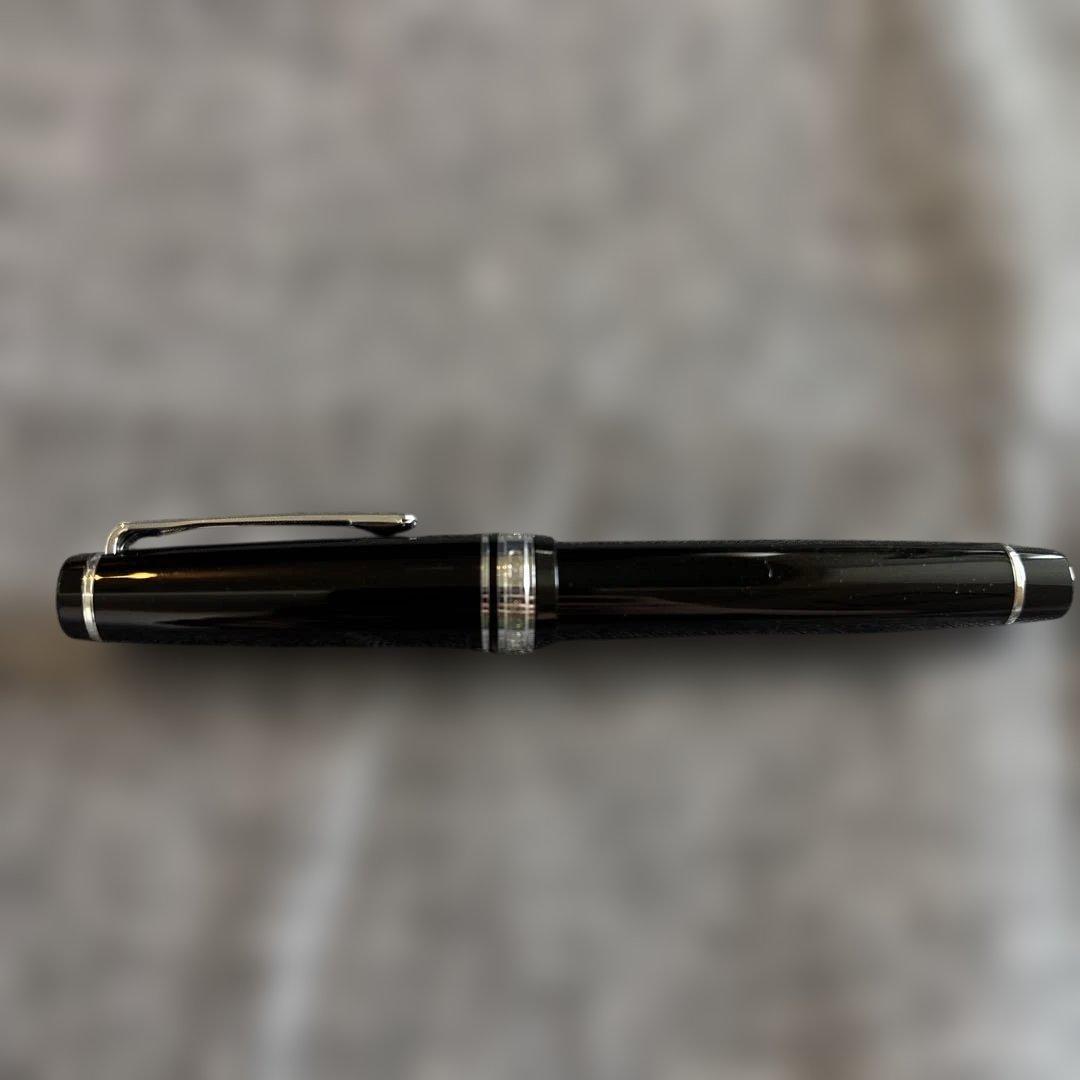 セーラー　プロフェッショナルギア 21K ズーム 万年筆