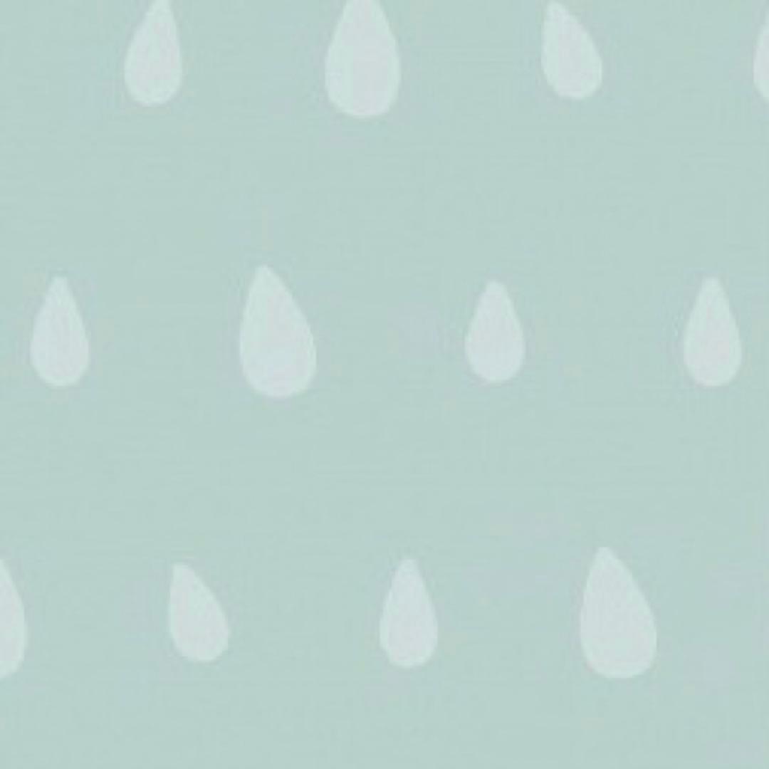 ポスターまとめ売り 桜蘭高校ホスト部 須王環 鳳鏡夜