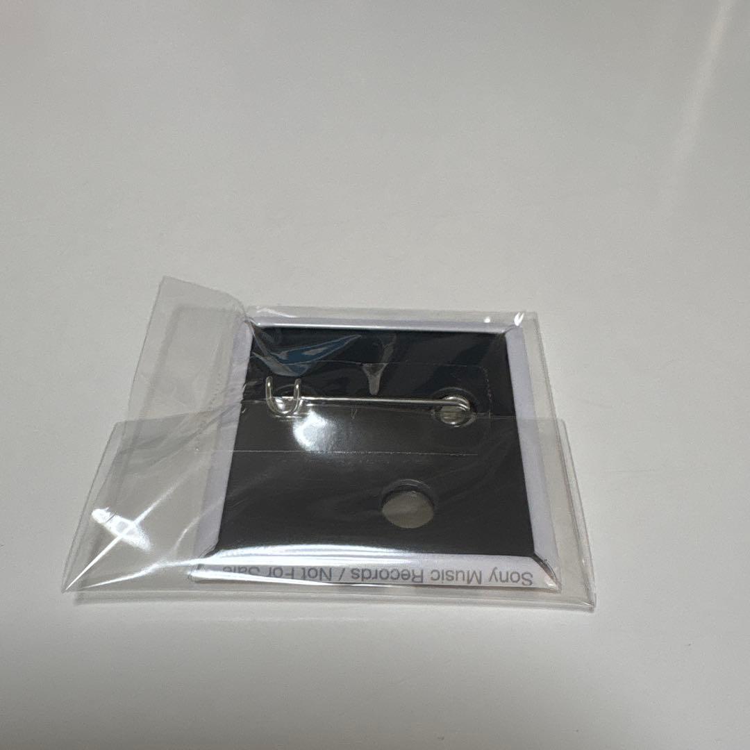 the GazettE ルキ 直筆サイン入り缶バッジ