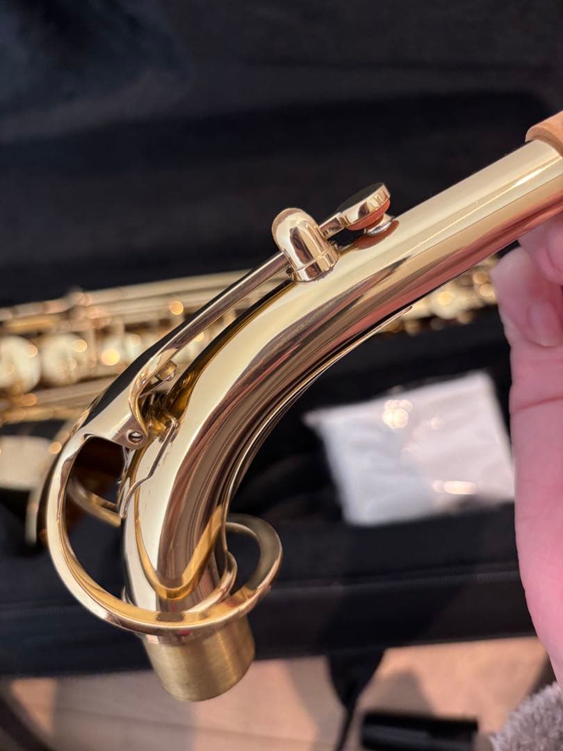 メイビス　アルトサックス　HERCULES製スタンド付き