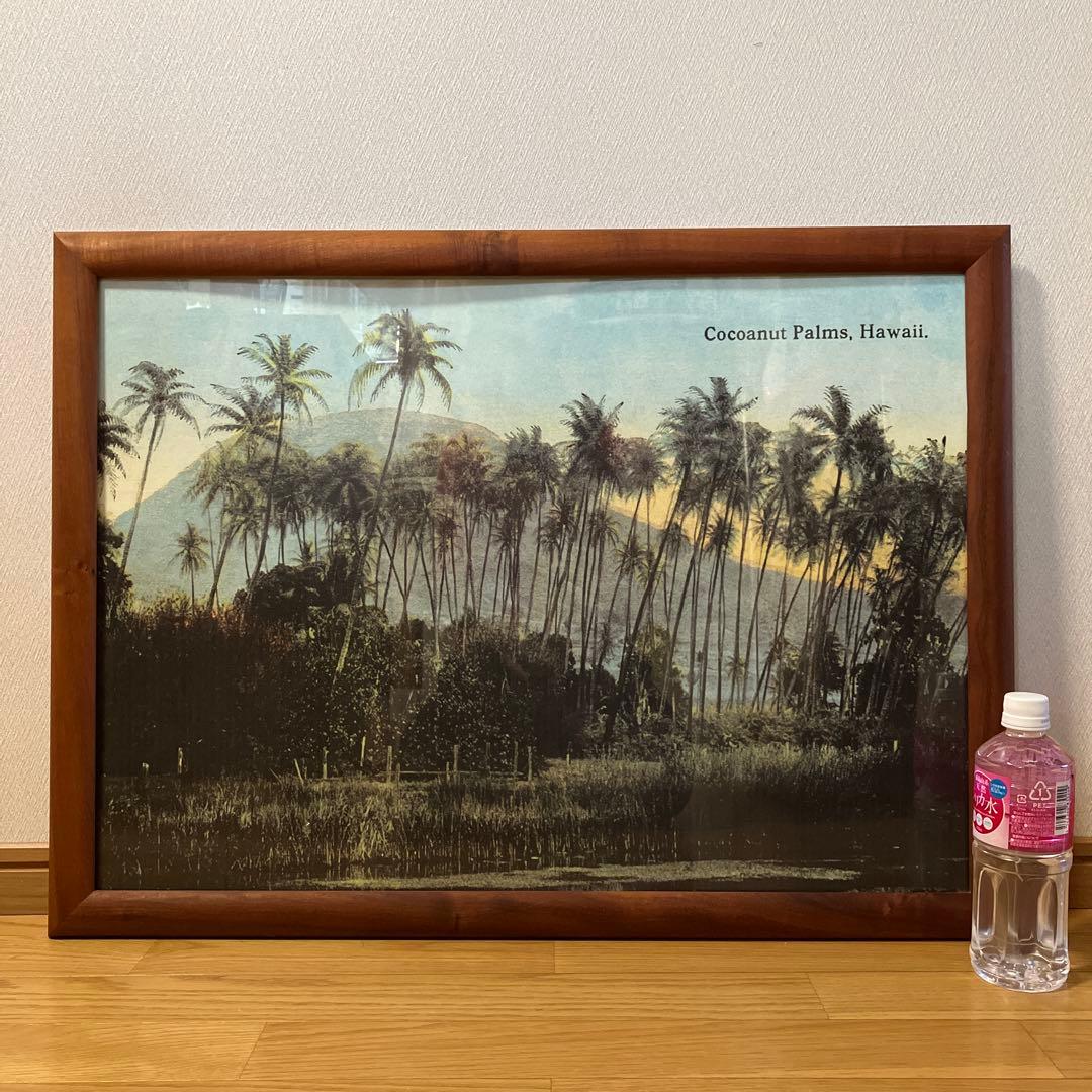 希少　コアウッド　フレーム　　77×56