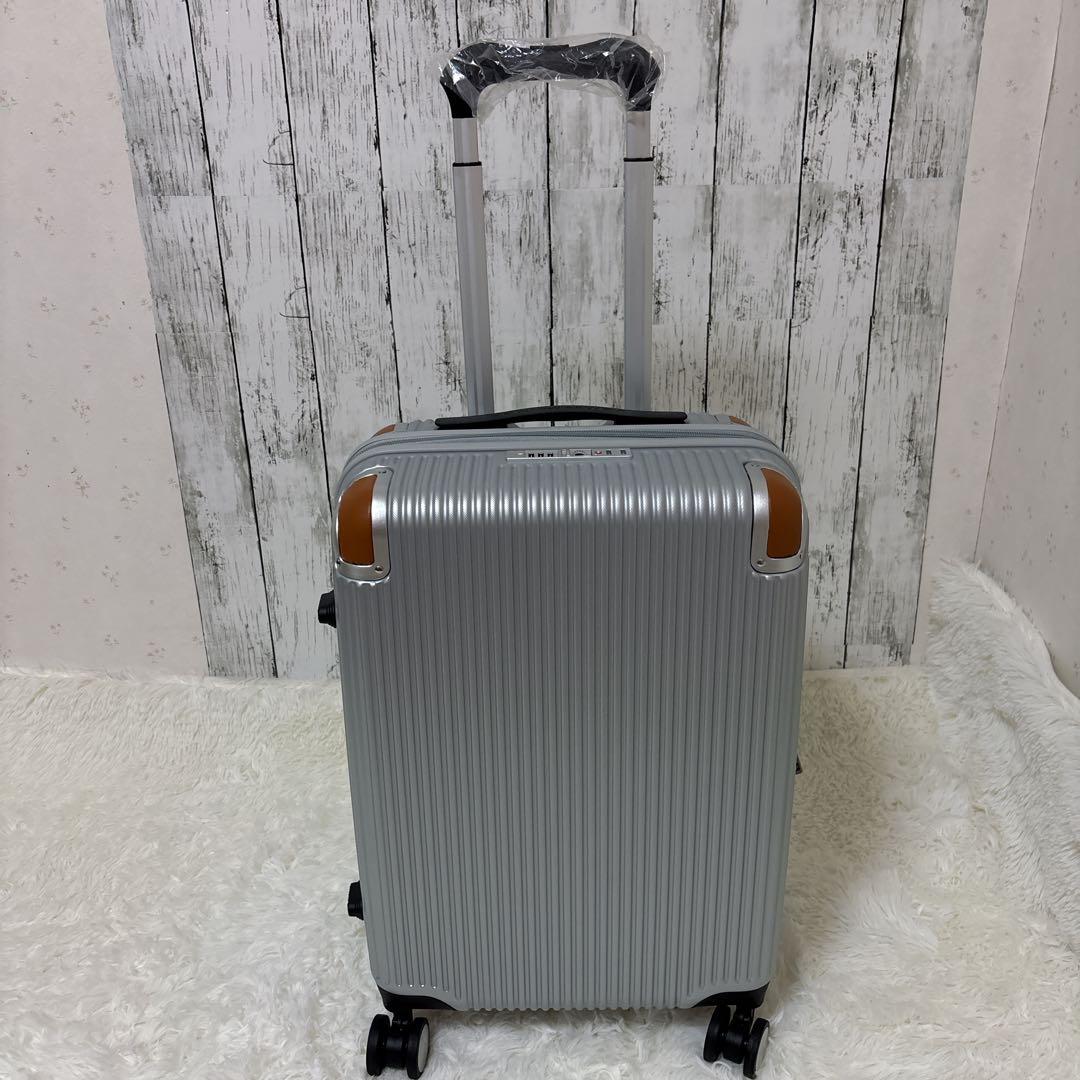 スイスミリタリー 20インチ スーツケース キャリーケース シルバー 機内持込み
