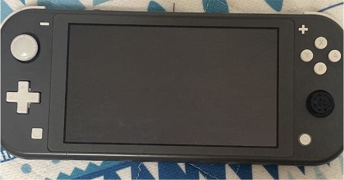 Nintendo Switch NINTENDO SWITCH LITE グレー