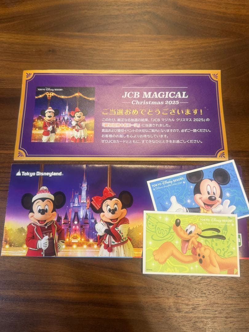 東京ディズニーランド　12月5日貸切　JCBマジカルクリスマス2025ナイト2枚