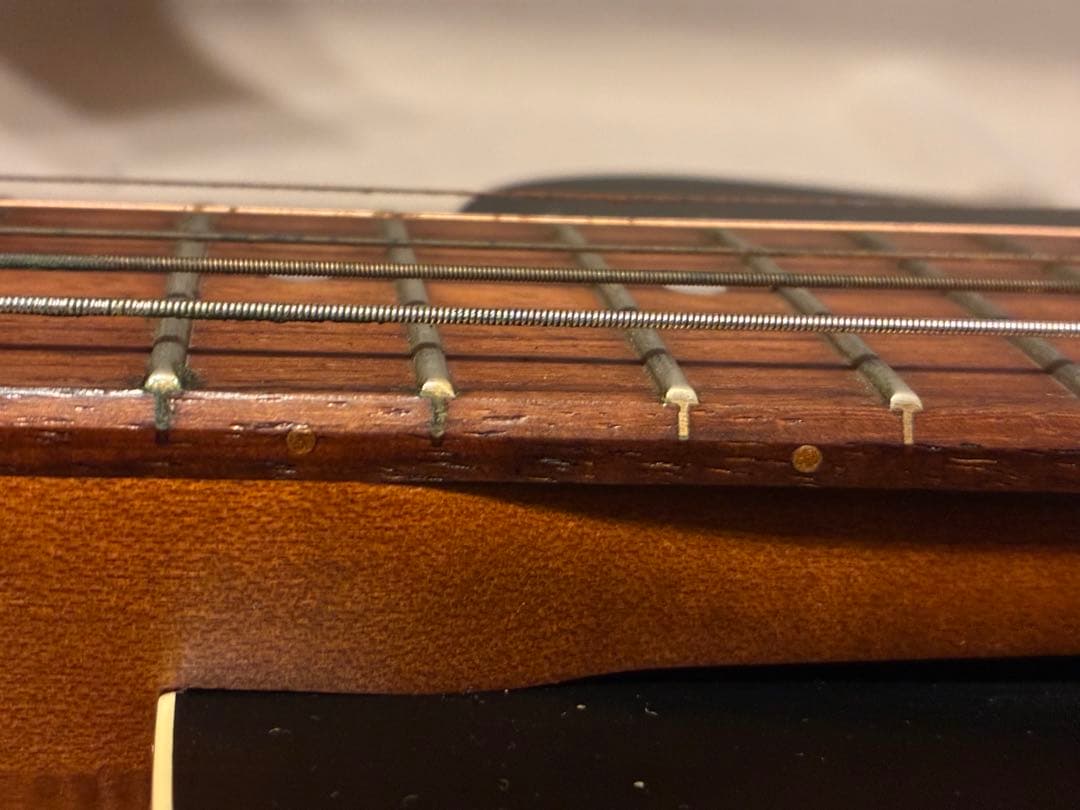 Godhin 5th avenue ゴダン　アーチトップ　アコースティックギター