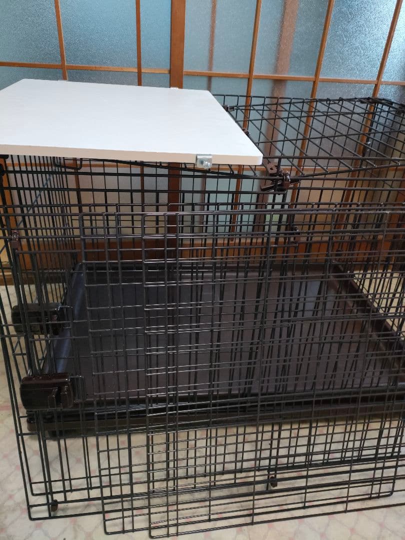 コンビネーションサークル　アイリスオーヤマ2段