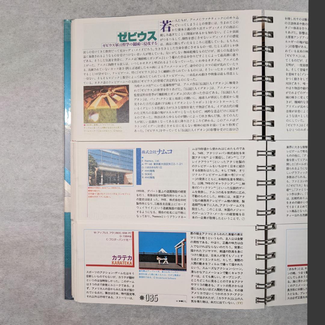 【希少】『テレビゲーム　電子遊戯大全』 テレビゲーム・ミュージアム・プロジェクト