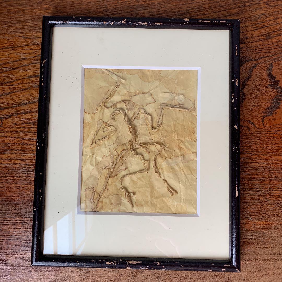 私の作った　ちぎり絵　始祖鳥の化石　木製ビンテージフレーム付き　ジュラ紀