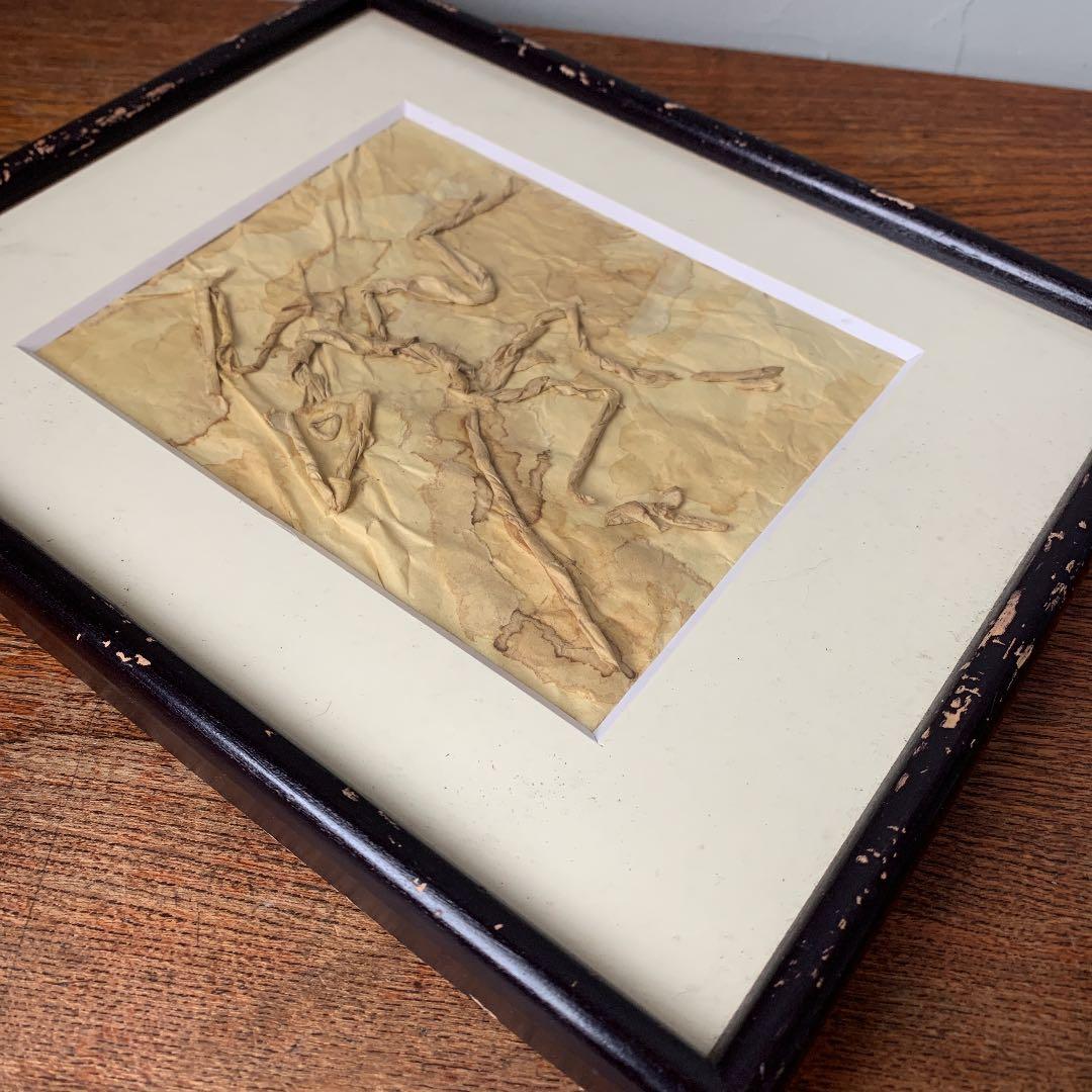 私の作った　ちぎり絵　始祖鳥の化石　木製ビンテージフレーム付き　ジュラ紀