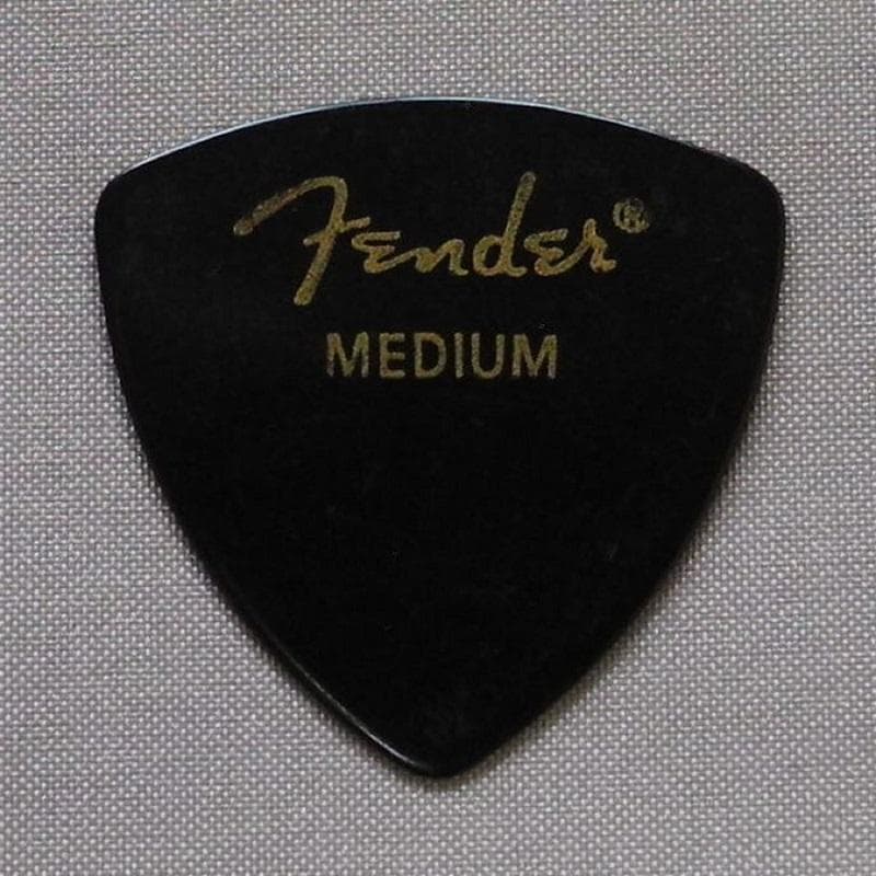 Bob Dylan ボブ・ディラン 1999年 ギターピック