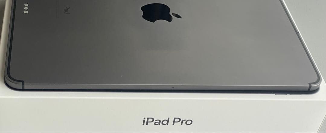 iPad本体 iPadPro11 Wi-Fi+Cellular 256GB