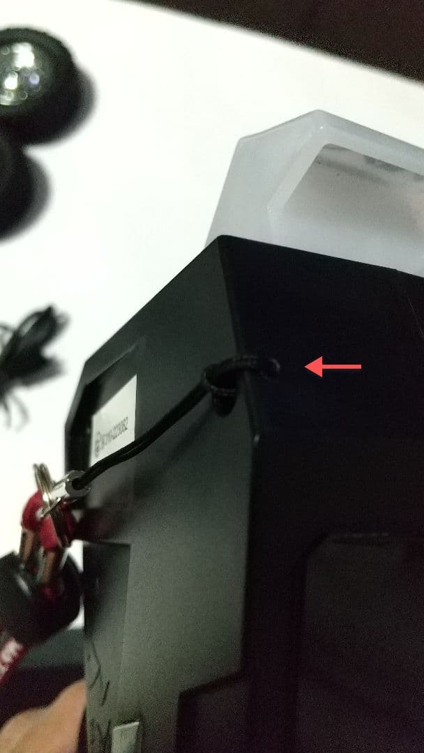 Seed_01 2月4日以内に限る