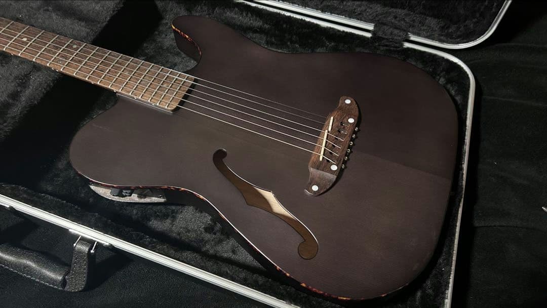 SHECTER OL-FL/BLK エレアコ