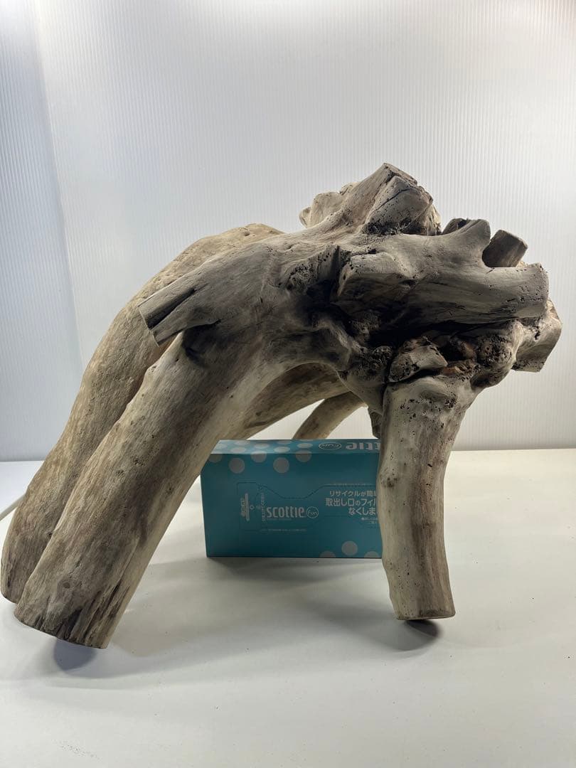 V64大型流木 アク抜き済み流木 爬虫類シェルター 登り木 インテリア 生け花