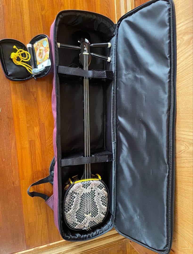 沖縄三線 紫ケース・クリップチューナー・入門本 付き　ドラゴン刺繍入り