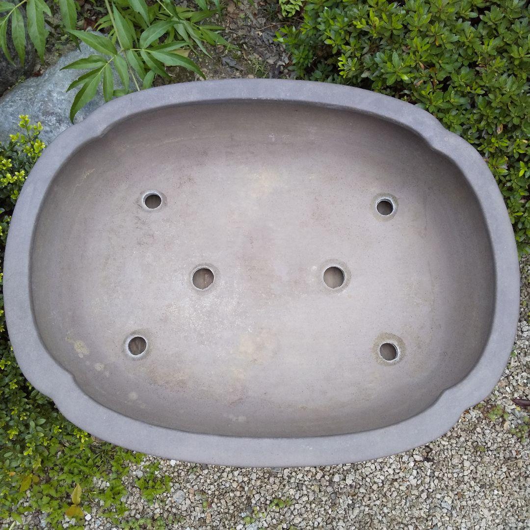 常滑焼 盆栽鉢 松柏類 大品『松下陶園』泥鉢 泥物 外縁 小判 隅入 袋形 切足