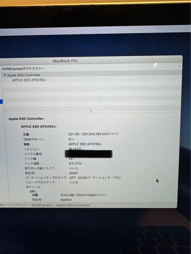 MacBook Pro 13インチ 2017 i5 256GB 8GB 本体のみ