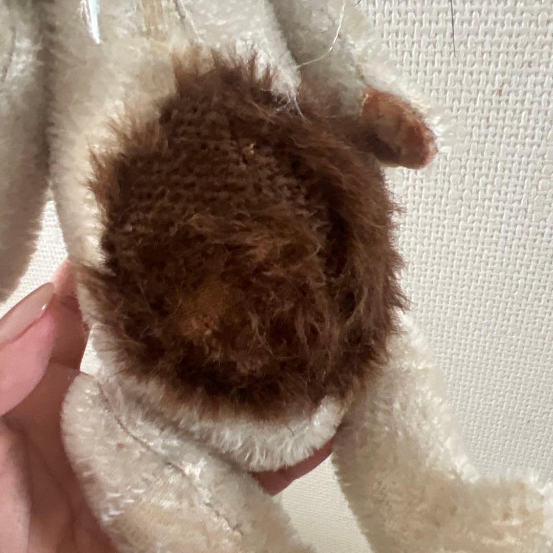 加藤日砂エンジェルキャットAngel cat