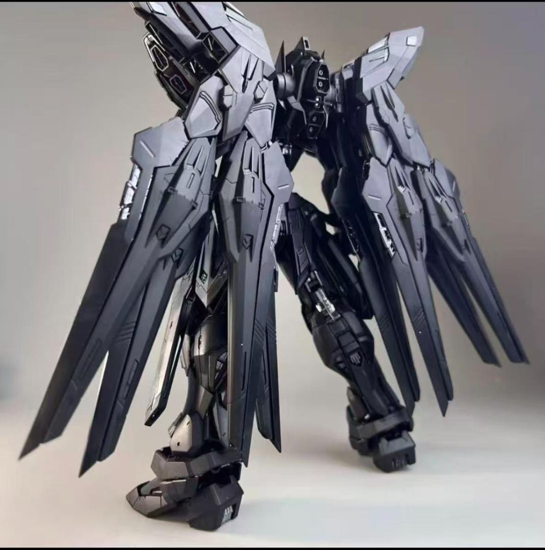 1/100ストライクフリダムガンダムブラック色(新品)