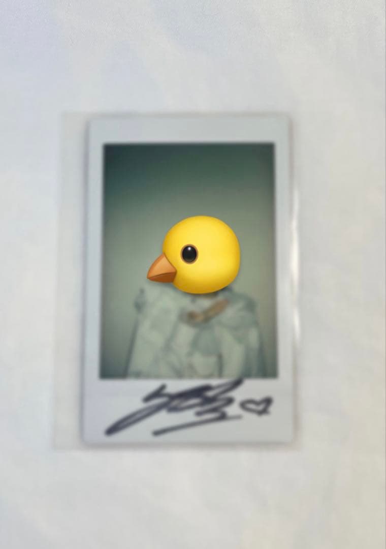 フィリックス 直筆サイン入りチェキ　最終値下げ