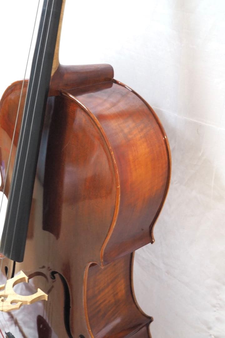 Carlo Giordano SC-240 チェロ カルロジョルダーノ