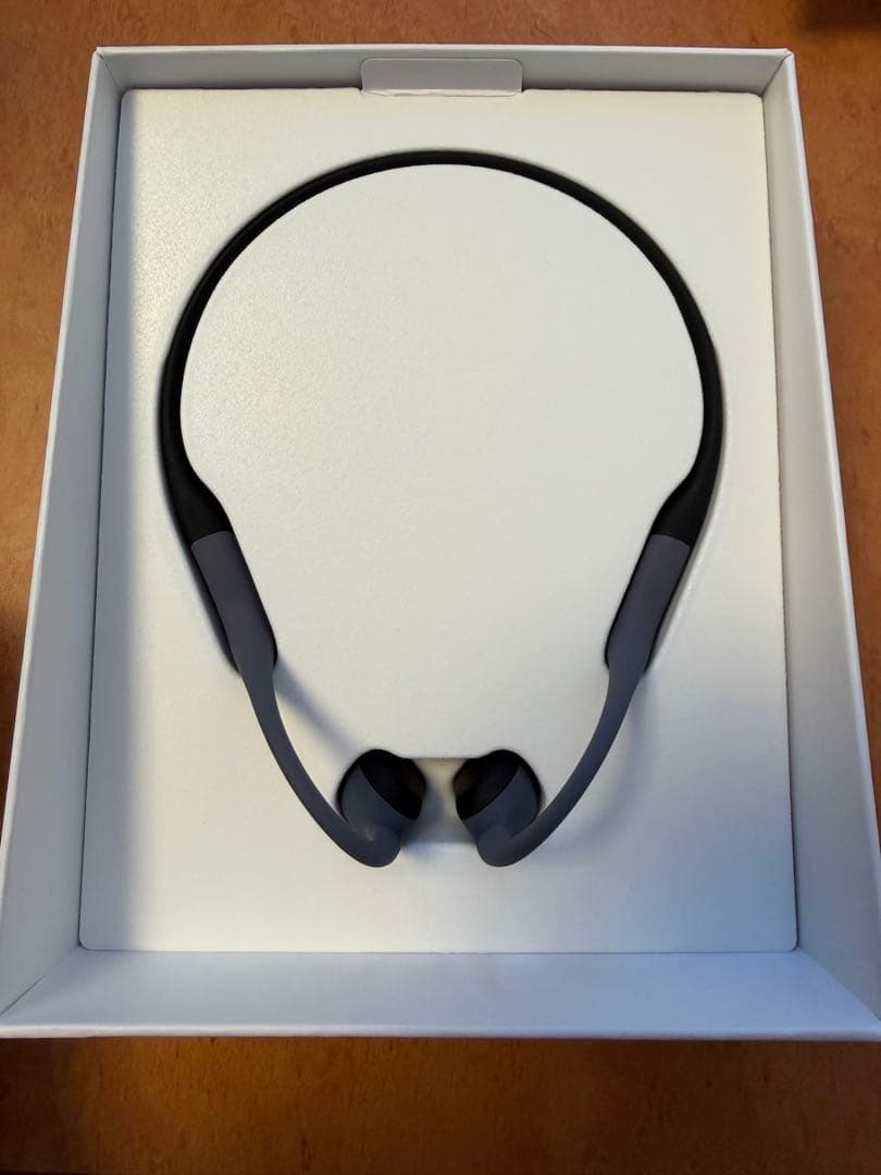 SHOKZ OPEN SWIM PRO グレー