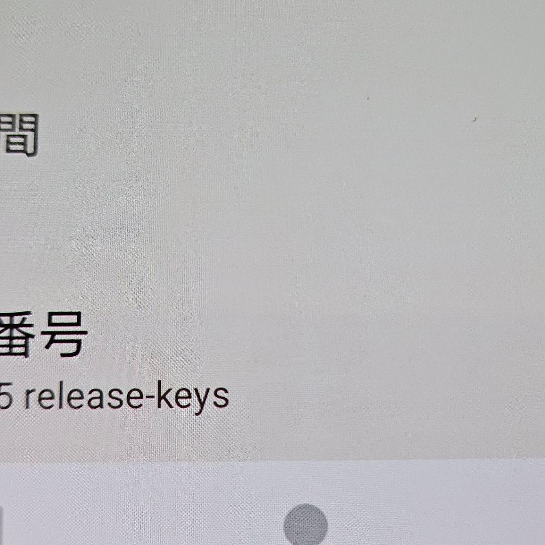 SONY Xperia 1 V SO-51D｜24時間以内発送#107