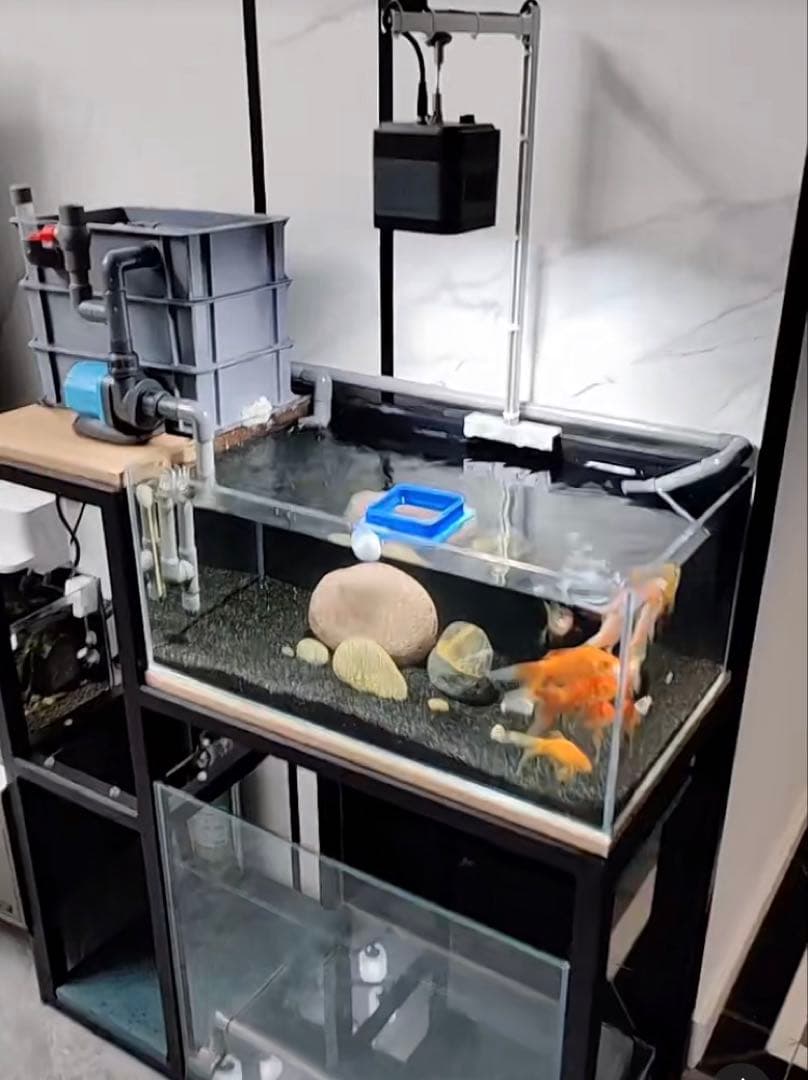 万能濾過お任せ濾過材付きフルセット 水槽池用濾過器フィルター大型水槽濾過装置