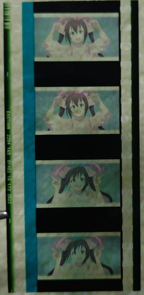 虹ヶ咲学園スクールアイドル同好会 特典 フィルム 桜坂しずく ライブシーン