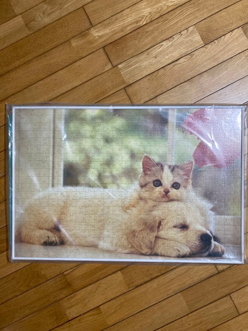 500P⑪犬と猫ᵔᴥᵔ　写真ジグソーパズル　ホワイト額50×75㎝　完成品