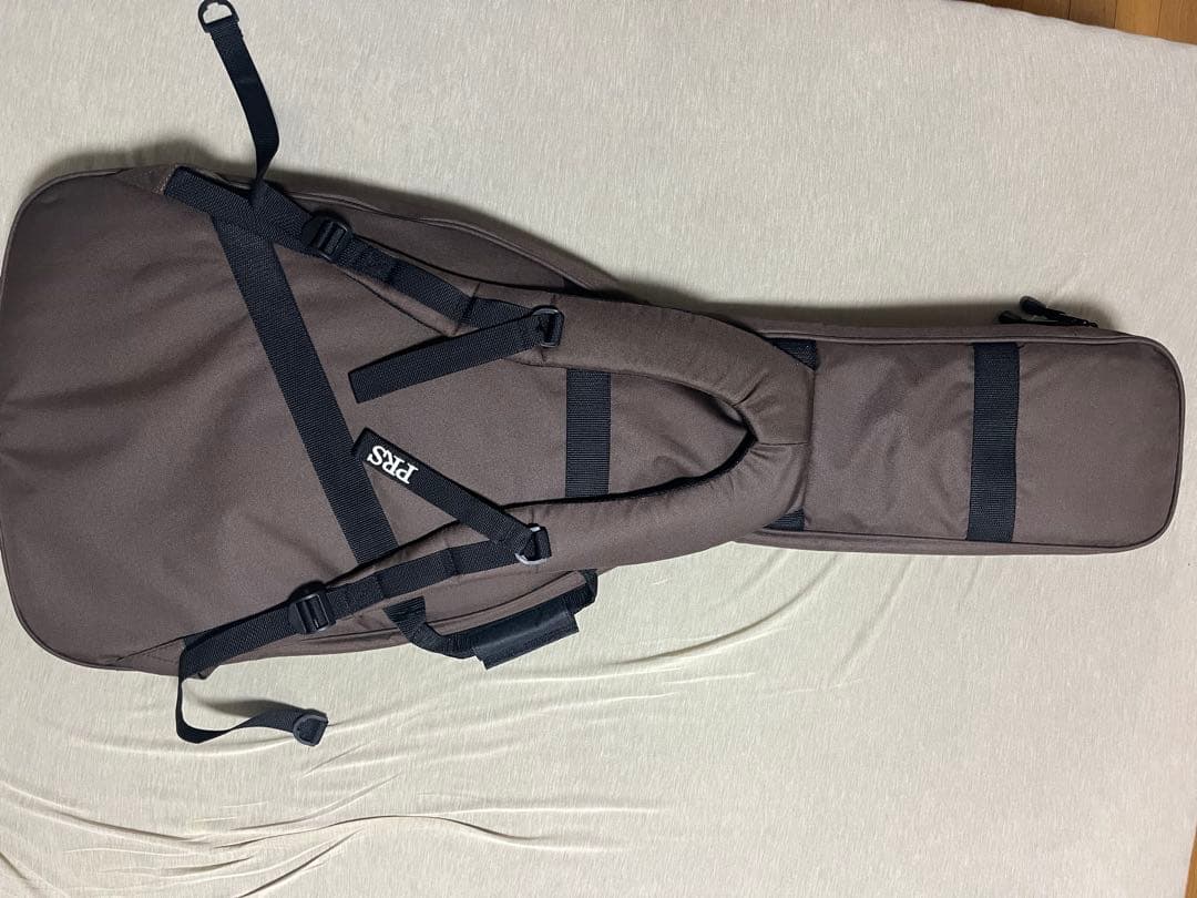 ※ヒロ　　PRS SE McCarty 594