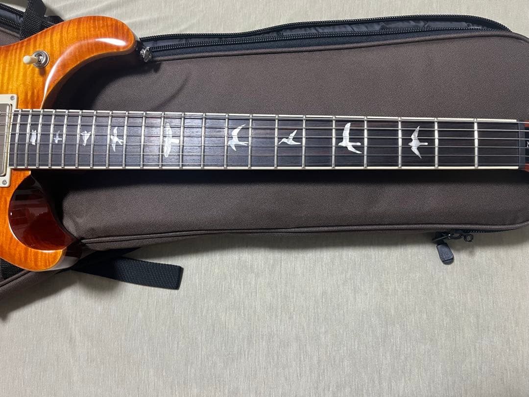 ※ヒロ　　PRS SE McCarty 594