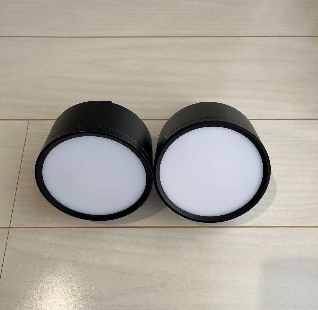 エジソンスマート ミニシーリングライト アーム付き　ダクトレール用　2個セット