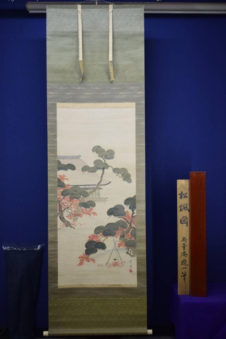 模写/酒井抱一/松楓図/桐題箱二重箱付/布袋屋掛軸HF-982