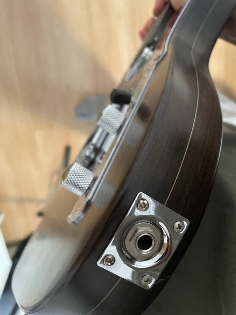 Bacchus BTW-TW NS バッカス オールローズ風 テレキャスター