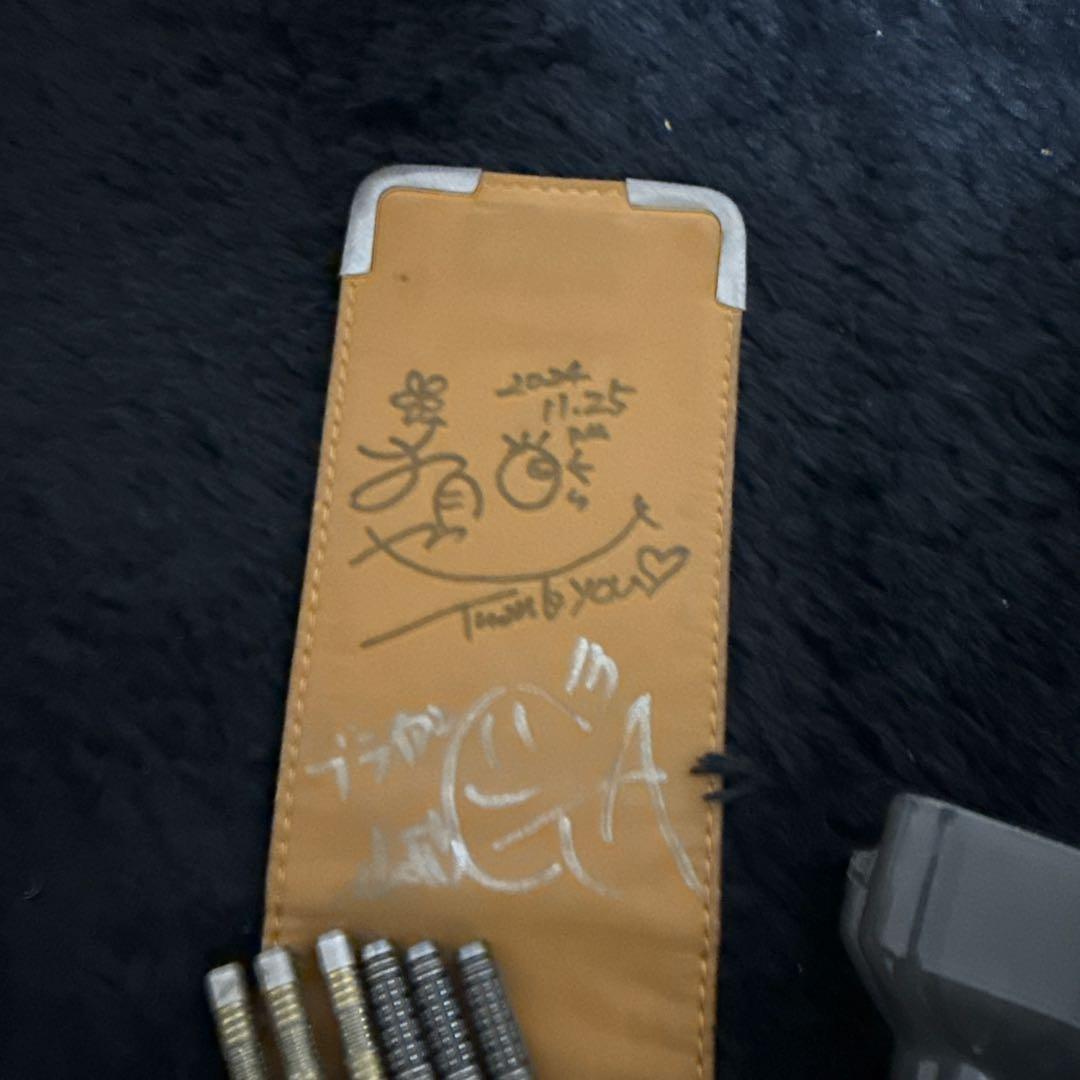 TRINIDAD ユニコーン ダーツバレル ケース マエストロフェーズ3