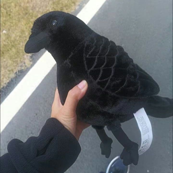 黒いカラスのぬいぐるみ