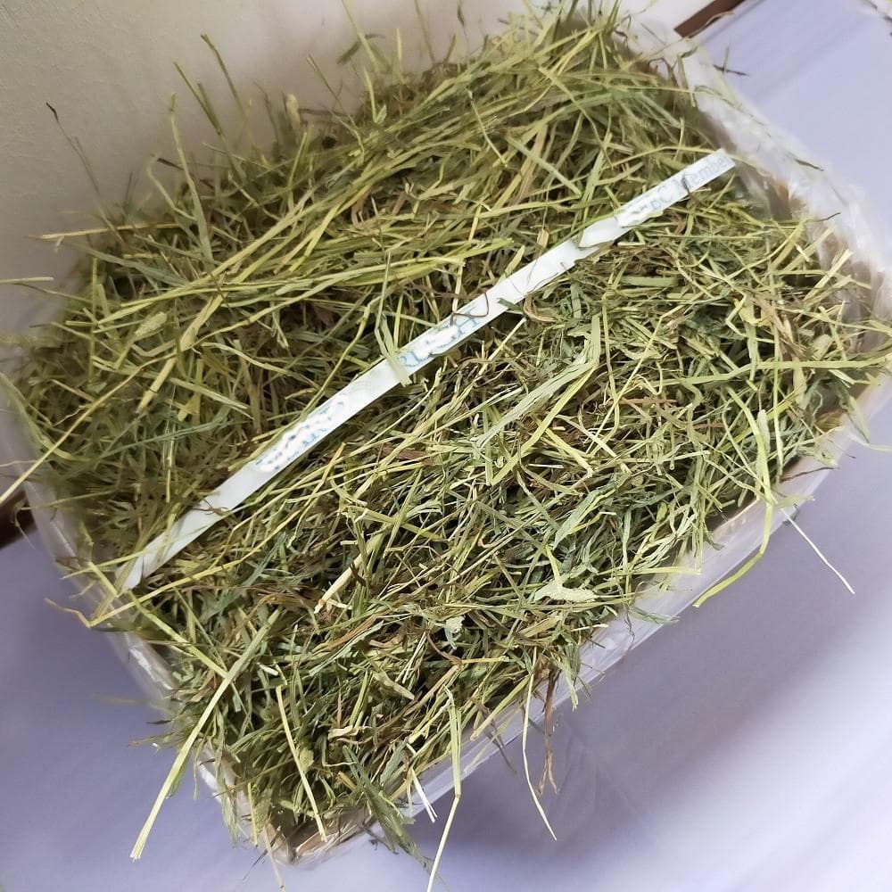 【2/9まで】US産 チモシー 30kg ２番刈り ソフトSプレミアム