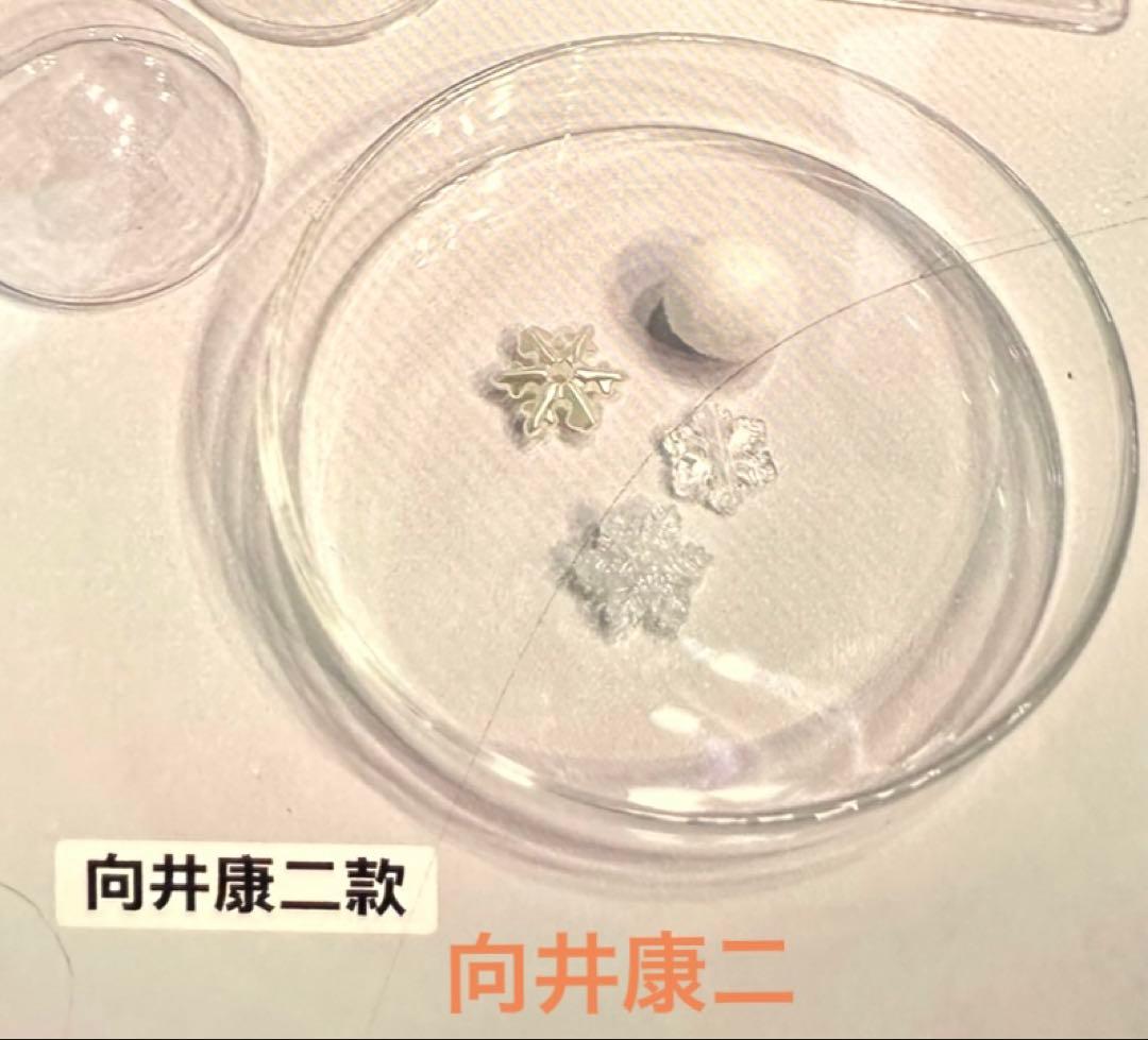 さわえ　Man POPUP台湾