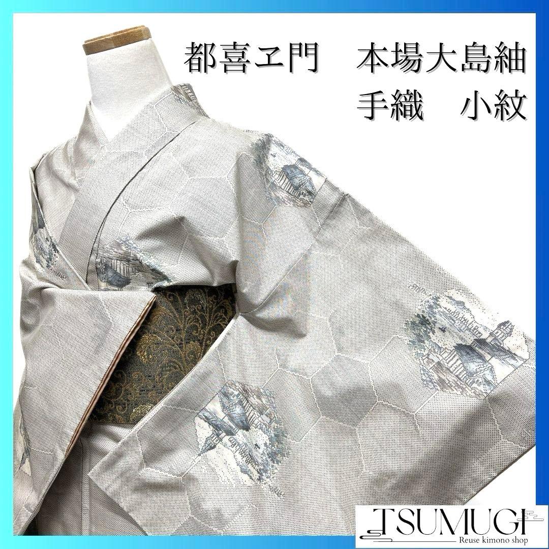 小紋　都喜ヱ門　本場大島紬　手織り　白大島紬　亀甲　街並み　着物　044a p