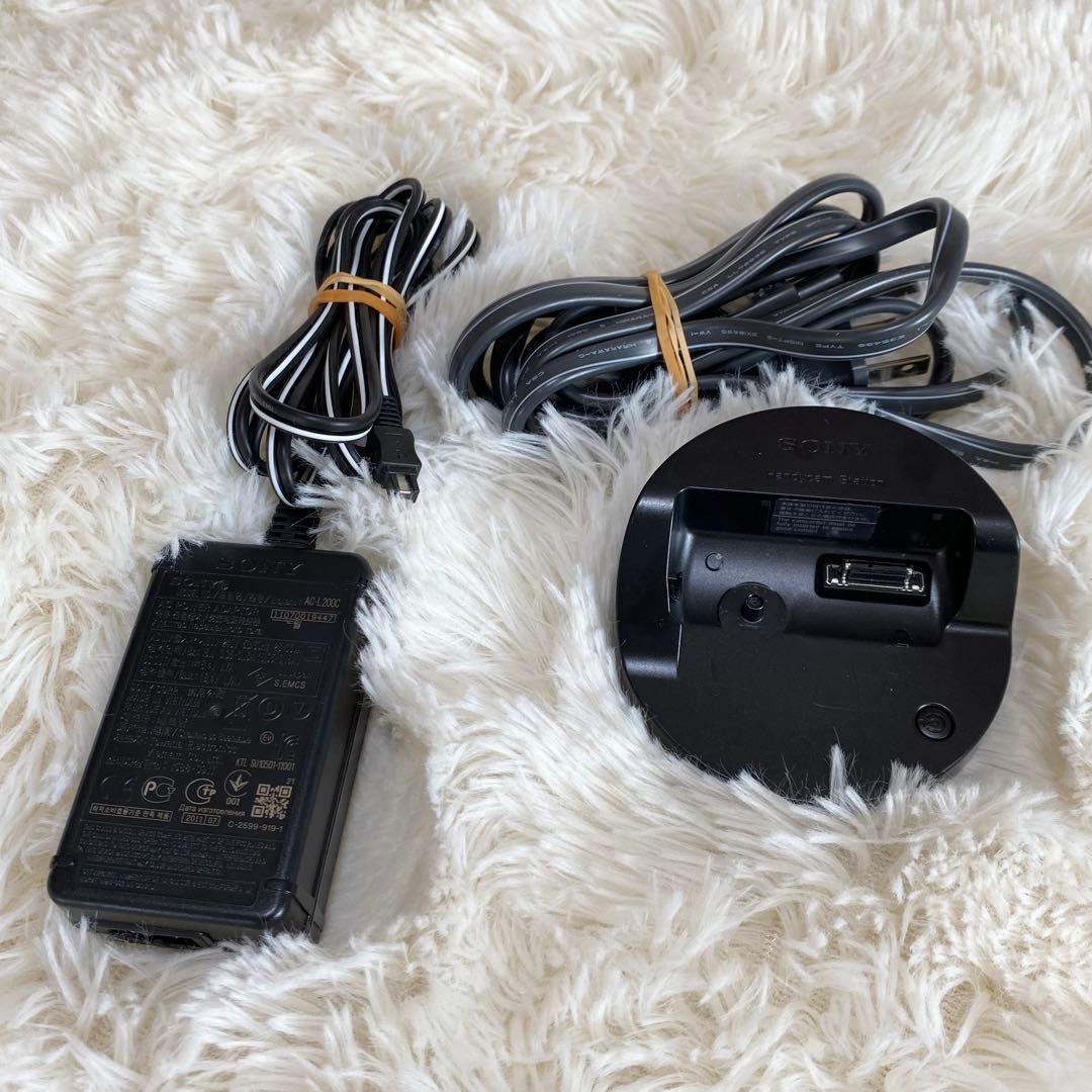 極美品【動作確認済み】SONY Handycam ハンディカム HDR-TG1