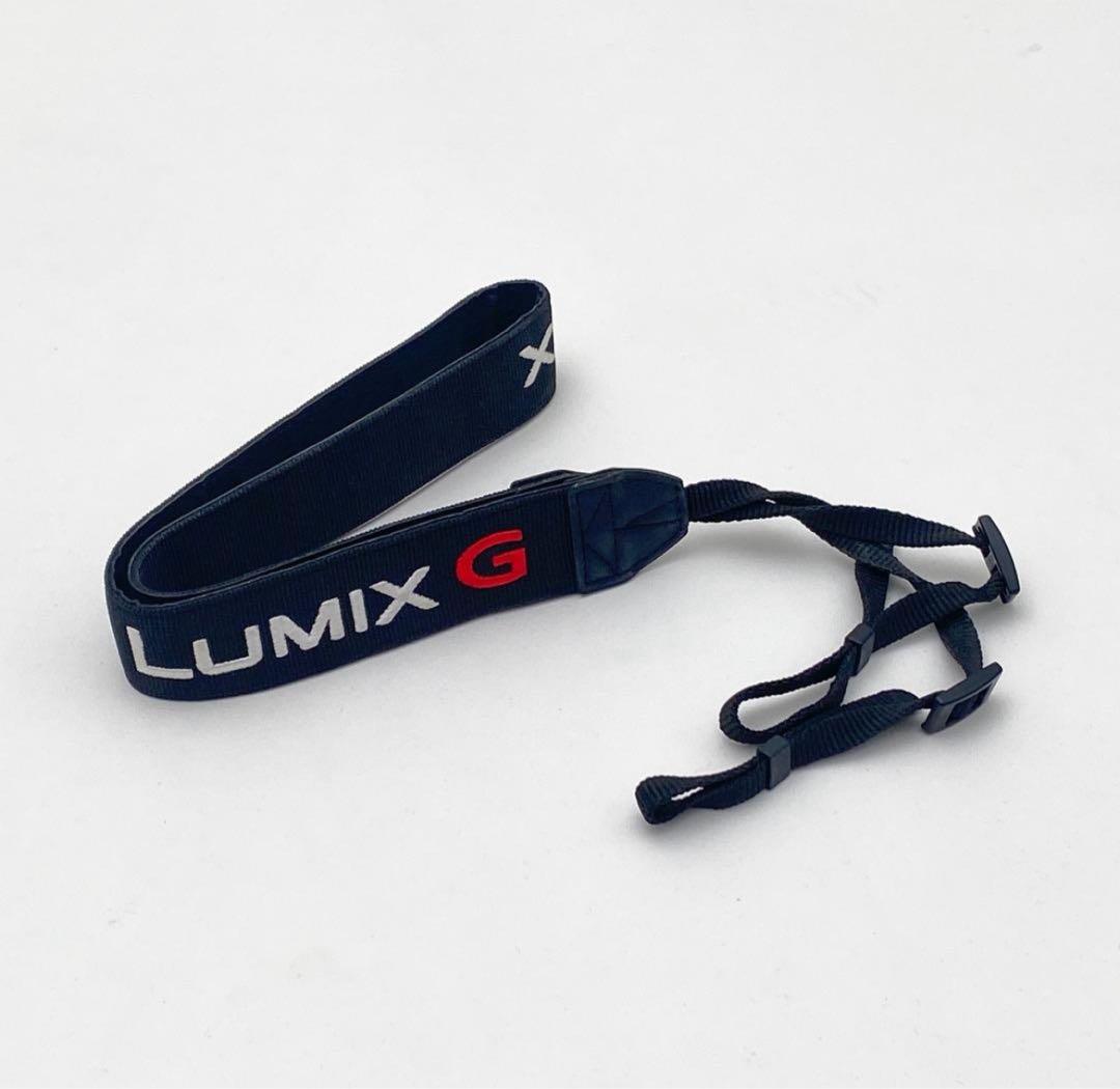 【並品】Panasonic パナソニック DC-GH5 レンズ付き