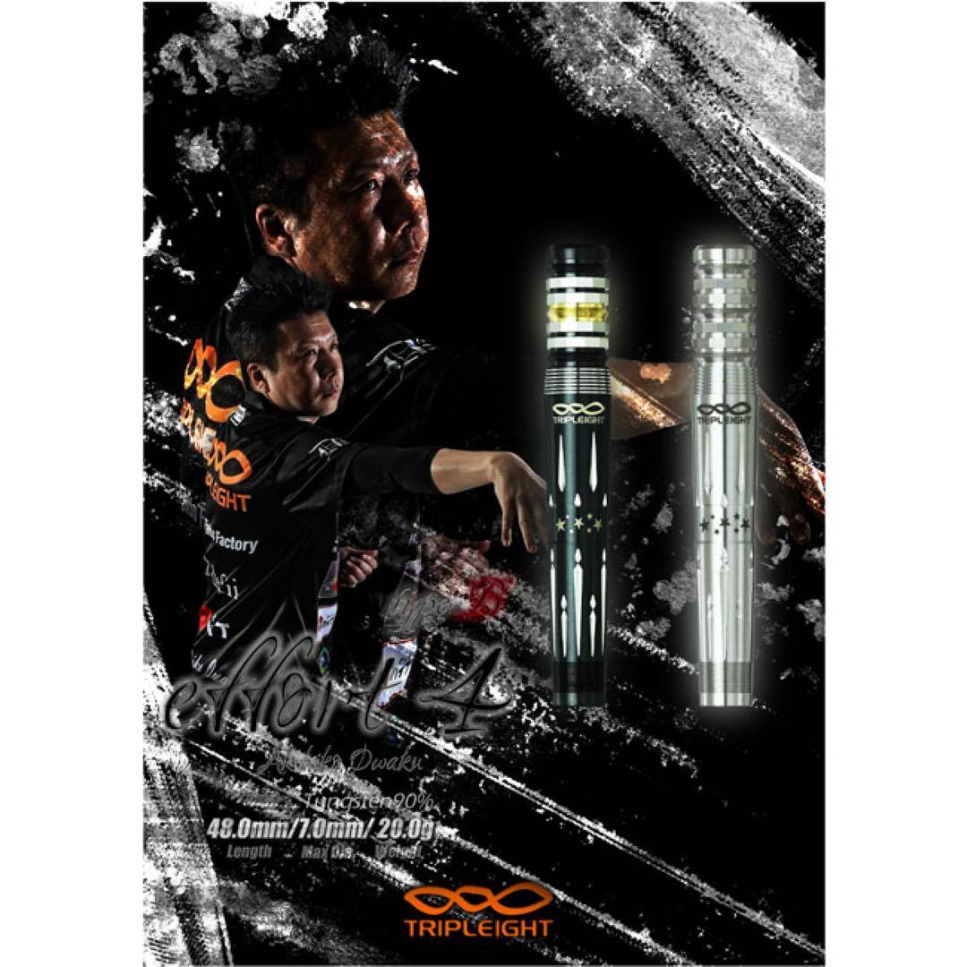 ダイナスティ トリプレイトエフォール typeB プレーン