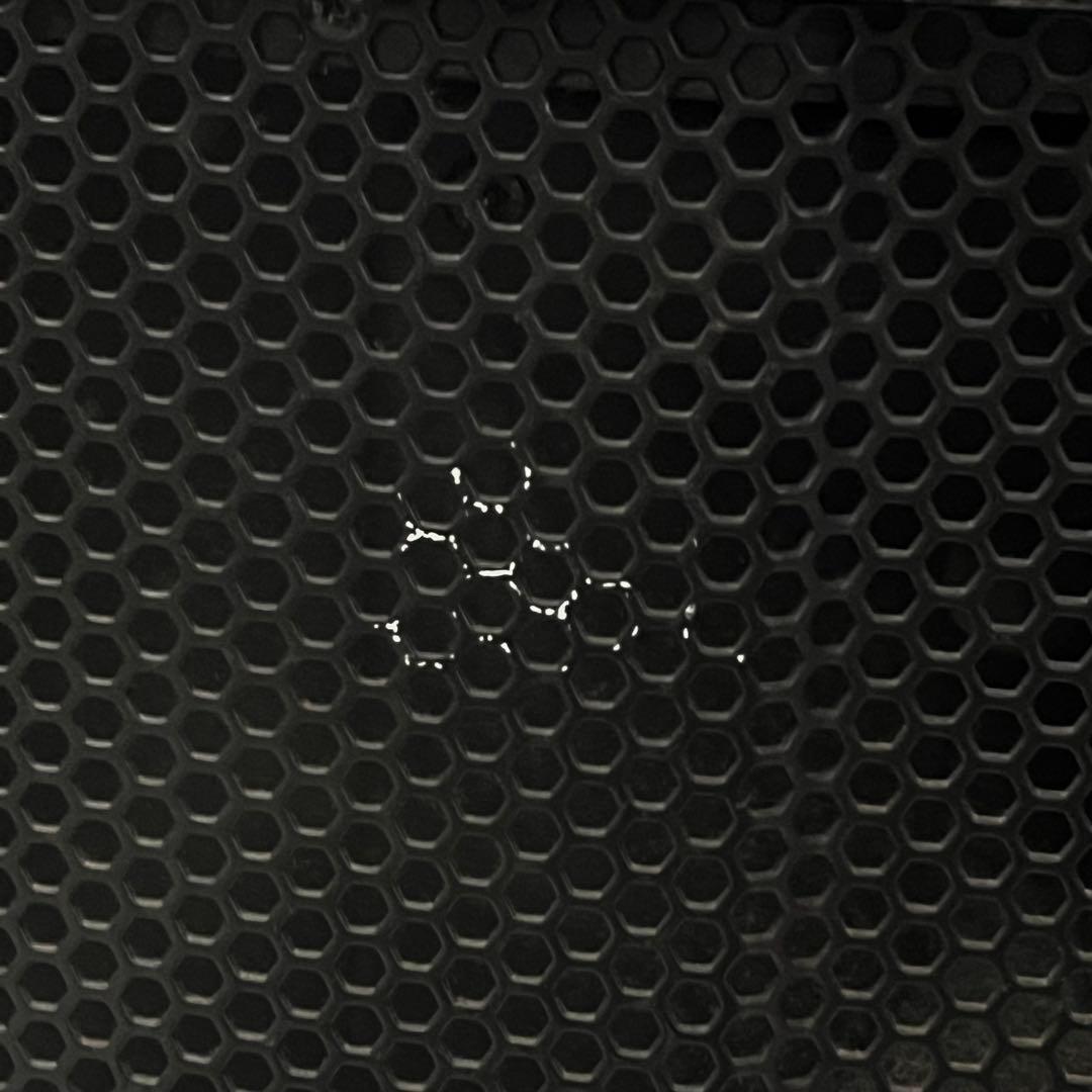 クラシックプロ Classic Pro CP10 II PAペア スピーカー