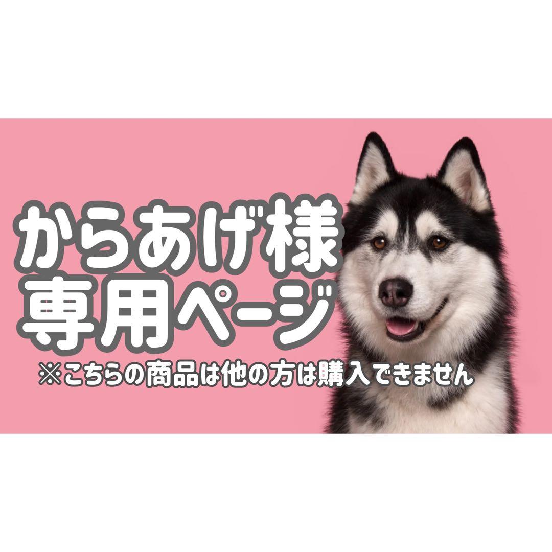 Bサ18◯●からあげページ●◯