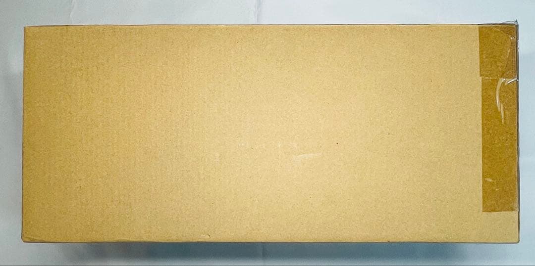 DX超合金 VF-25F トルネードメサイアバルキリー （早乙女アルト機）