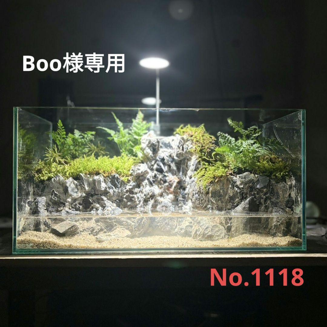 滝の流れるアクアテラリウム　Boo
