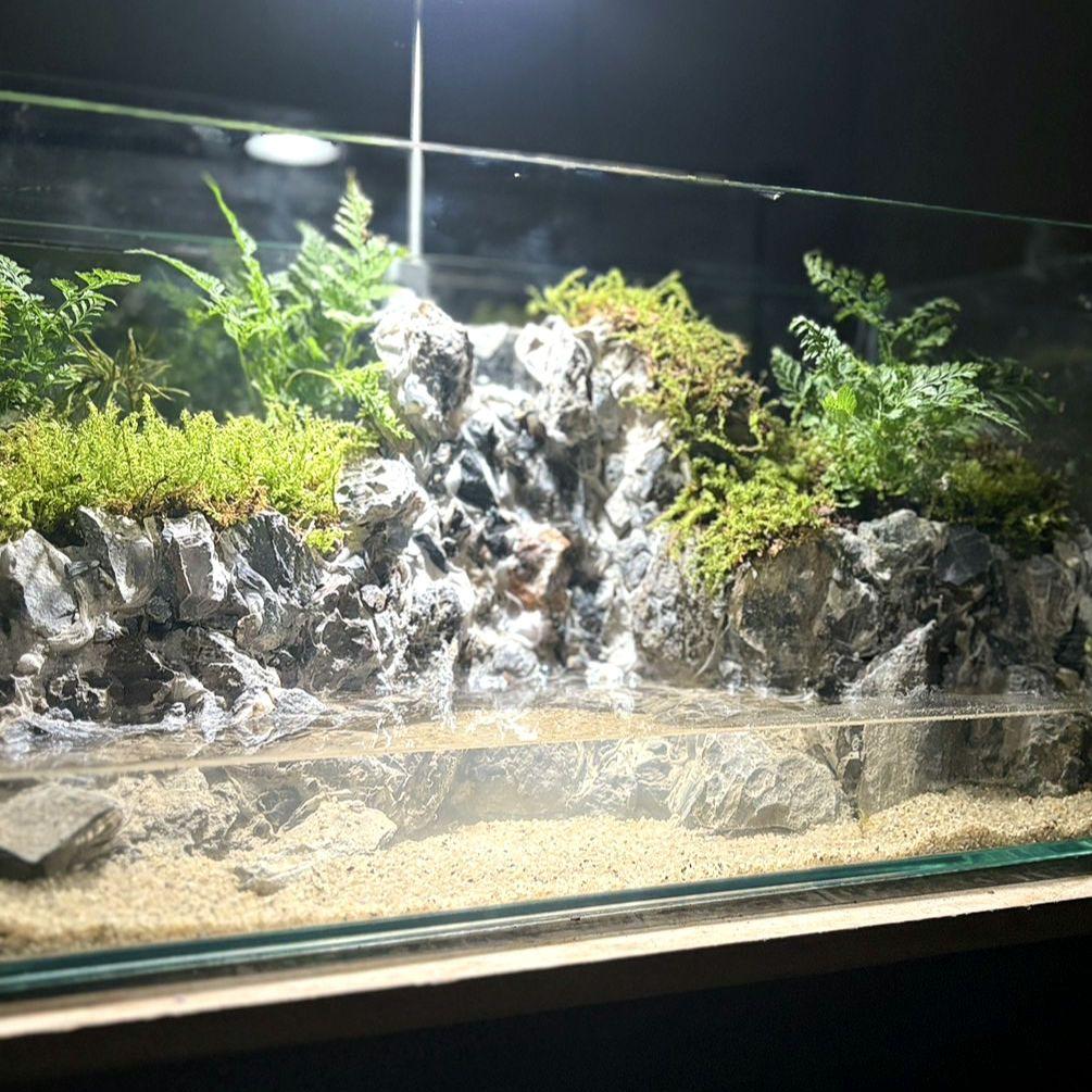 滝の流れるアクアテラリウム　Boo