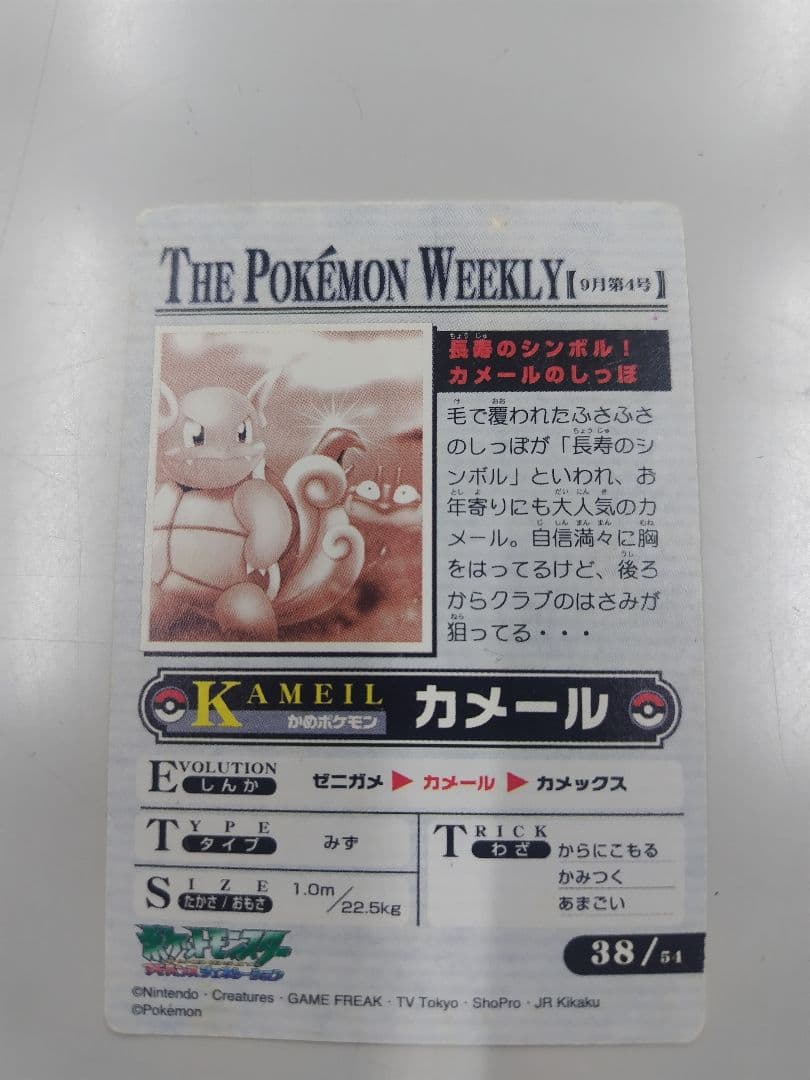 THE POKEMON WEEKLY カメール カード