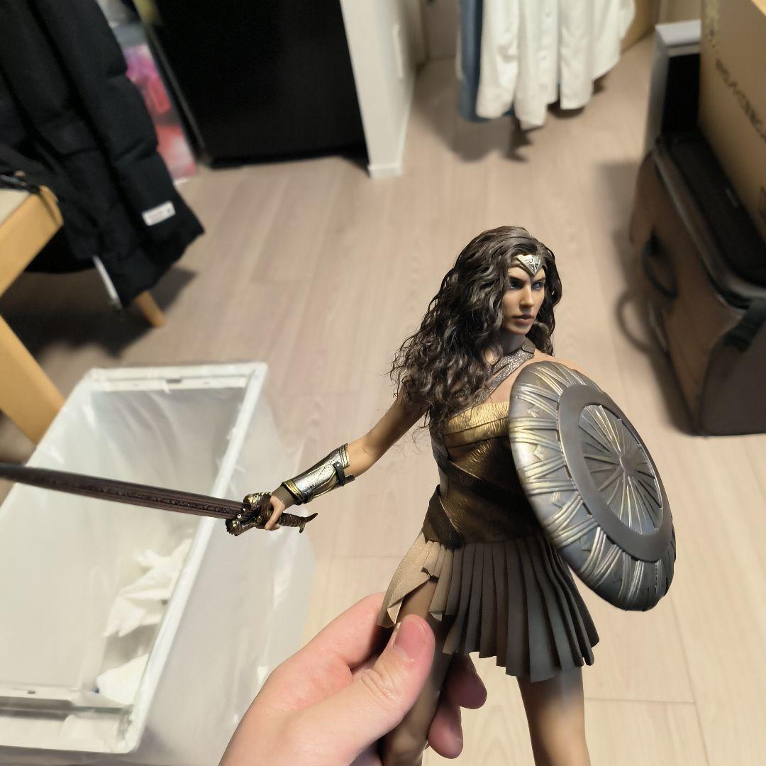 ホットトイズワンダーウーマン 天堂島訓練カスタマイズ